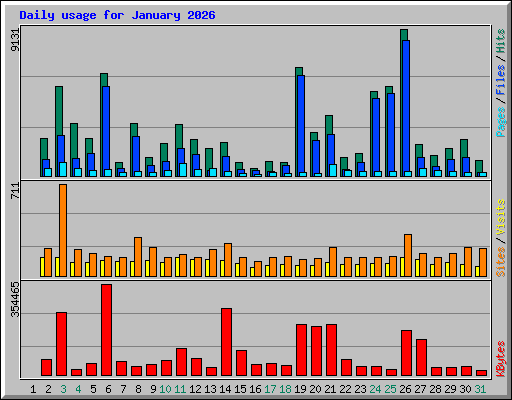 Daily usage for January 2026