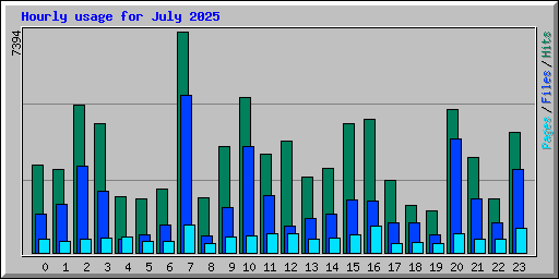 Hourly usage for July 2025