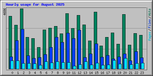 Hourly usage for August 2025