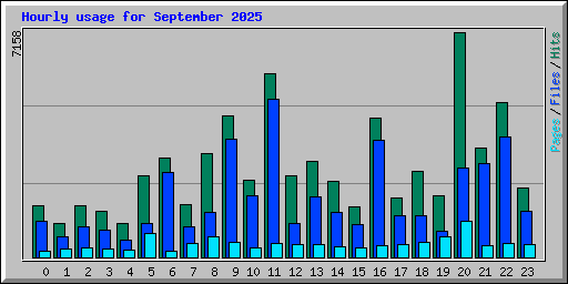 Hourly usage for September 2025