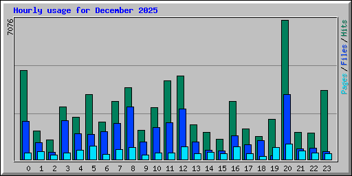 Hourly usage for December 2025