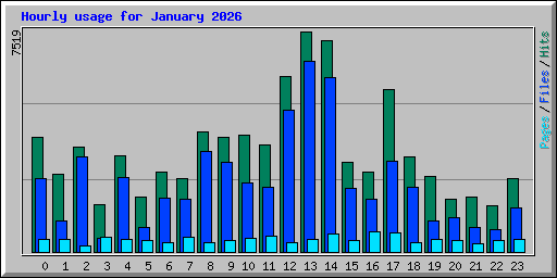 Hourly usage for January 2026